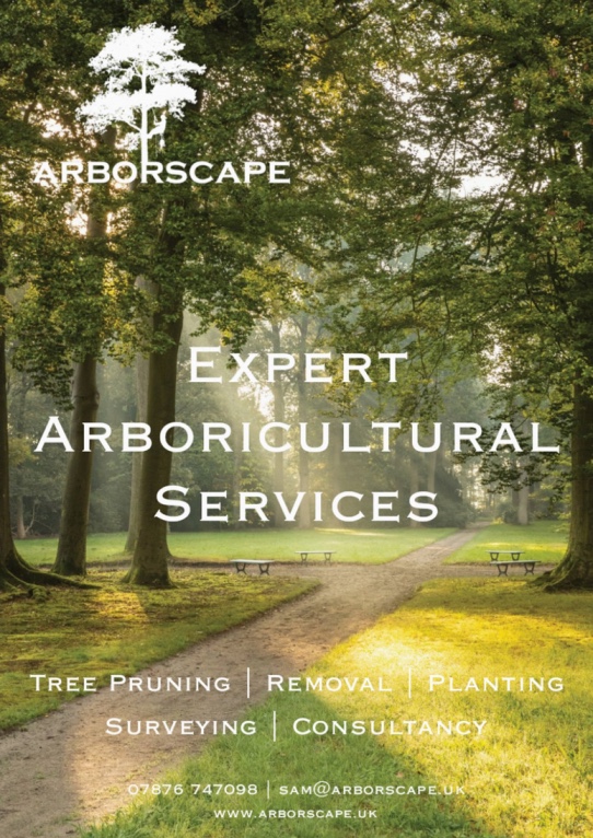 Arborscape Flier