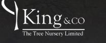 King and Co logo