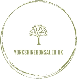 Yorkshire Bonsai Logo