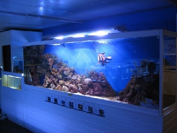 Large Aquarium