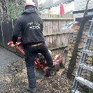 Tree Stump Removal Surrey