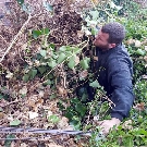 Ivy Removal Surrey