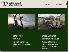 https://www.greenheart-treesurgery.co.uk/ website