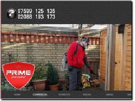 https://primepestcontrol.co.uk/ website