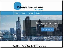 https://24hourpestcontrolinlondon.co.uk/ website