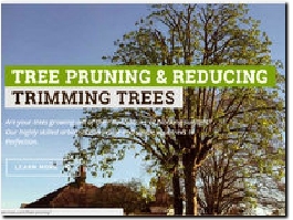 https://www.surreytreeservices.com/ website