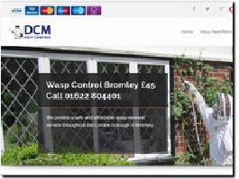 https://www.kentwaspnestremoval.co.uk/wasp-nest-removal/bromley/ website