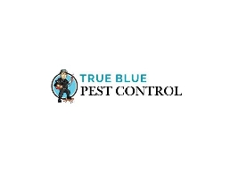 https://truebluepestcontrol.com.au/ website