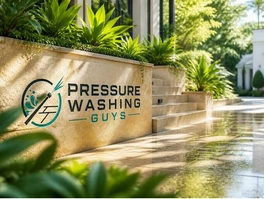 https://pressurewashingguys.com.au/ website
