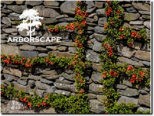 https://www.arborscape.uk/ website