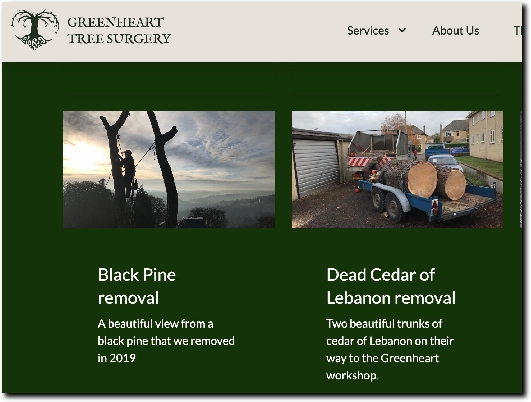 https://www.greenheart-treesurgery.co.uk/ website