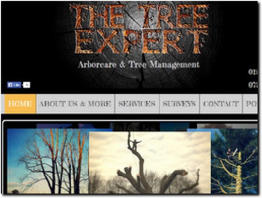 https://www.the-tree-expert.co.uk/ website