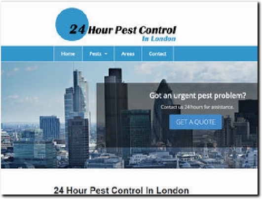 https://24hourpestcontrolinlondon.co.uk/ website