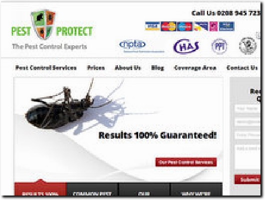 https://www.pest-protect.co.uk/ website