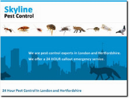 https://www.skylinepestcontrol.co.uk/ website