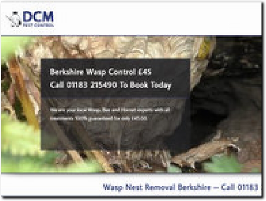 https://www.dcmpestcontrol.co.uk/wasp-removal-berkshire/ website
