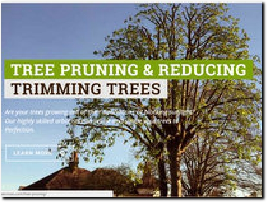 https://www.surreytreeservices.com/ website