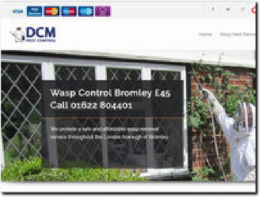 https://www.kentwaspnestremoval.co.uk/wasp-nest-removal/bromley/ website