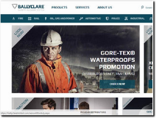 https://ballyclarelimited.com/ website