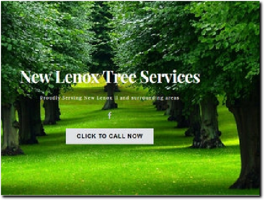 https://www.newlenoxtreeremoval.com/ website