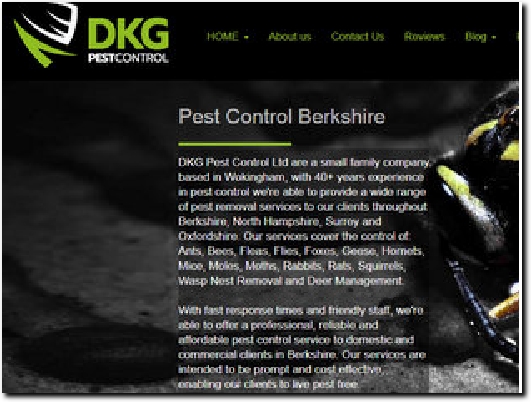 https://www.dkgpestcontrol.co.uk/ website