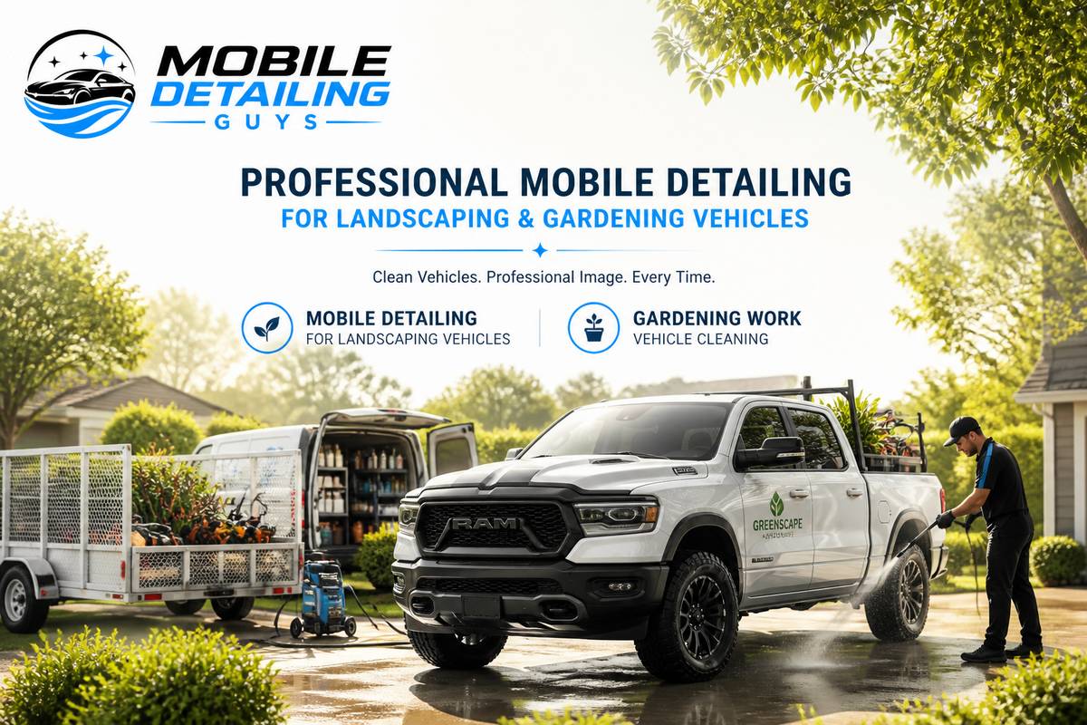 https://mobiledetailingguys.com.au/ website