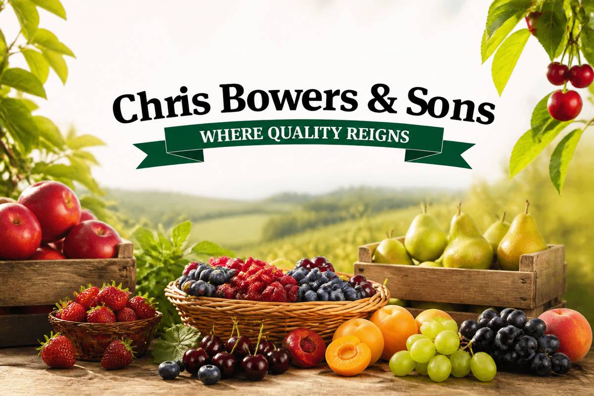 https://www.chrisbowers.co.uk/ website