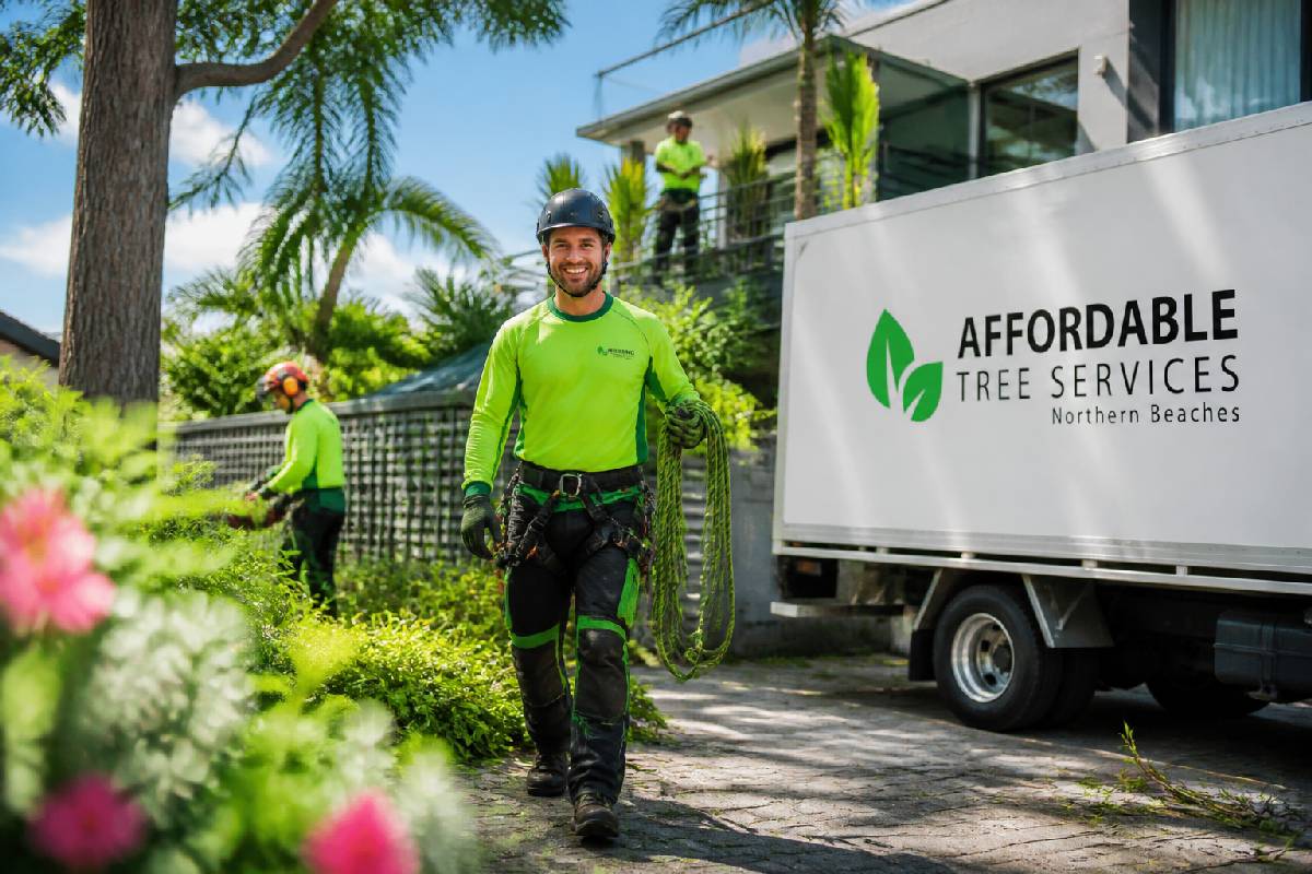 https://affordabletreeservicesnorthernbeaches.com.au/ website